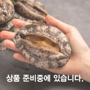 글로리푸드 THE건강한 전복 15-17미 1kg 대전복 (2-3년산)
